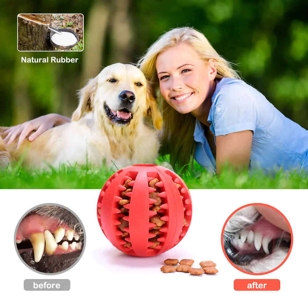 Rubber Balls Pet Toys